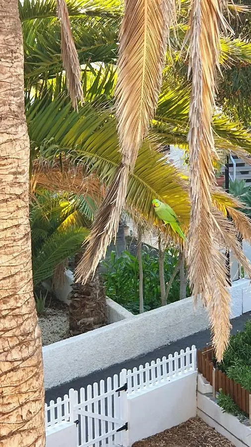 Studio With Garden Arona  Apartment Arona (Tenerife)